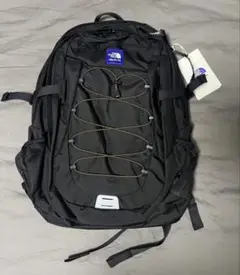 TNF x Aime Leon Dore Borealis Backpack
