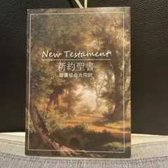 新約聖書（聖書協会共同訳）・文庫本サイズ