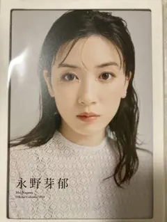 永野芽郁　広末涼子　直筆サイン 永野芽郁 広末涼子 直筆サイン 2025年最新】永野芽郁 サインの人気