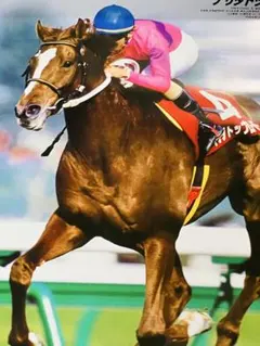 JRA  ナリタトップロード　ポスター　競馬　ウマ娘 非売品】ナリタトップロードポスター 競馬 ヒーロー列伝 ウマ娘