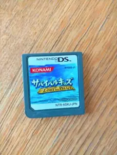 サバイバルキッズ DS