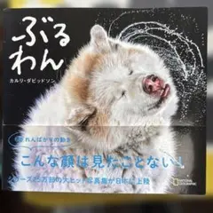 ぶるわん　犬写真集