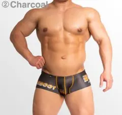 Item thumbnail for item b929884f-f6db-446e-8bd6-9eda0a44cf47