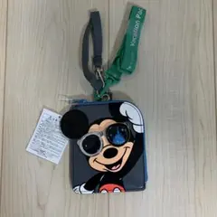 新品　ディズニーバケーションパッケージ パスケース