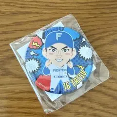北海道日本ハムファイターズ 達孝太victory ver ホログラム缶バッジ