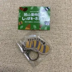 Item thumbnail for item 66fedffd-6828-4d5b-985f-7530847632c7