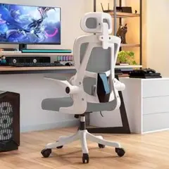 エルゴノミックオフィスチェア腰サポート付き 通気性メッシュ グレー BGY4