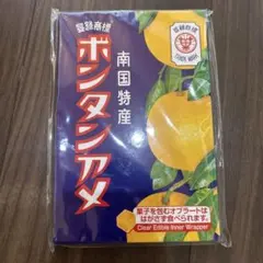 ボンタンアメ　御朱印帳のサムネイル