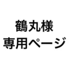 専用ページ