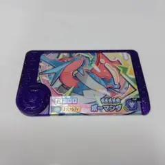 ポケモンフレンダ　ボーマンダ　メガシンカ　スーパートレジャー