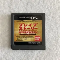 ニンテンドーDS ブレイブストーリー ボクのキオクとネガイ