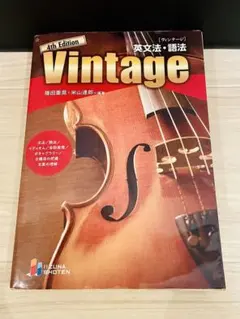 【大学受験】【医学部受験】【値下げ交渉OK】【即発送】Vintage英文法・語法