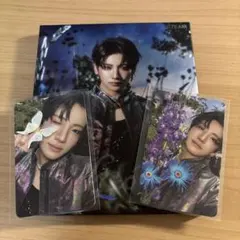 &team yuma roar 開封済み 抜けなし