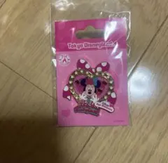 ミニーパルパルーザ　ピンバッジ　2026