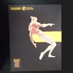 Romankey x COWL 1/12 男性 黄肌 アクションフィギュア素体