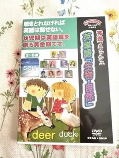 Item thumbnail for item 7d45f34b-5e4b-4633-a116-bce6493dced4