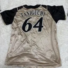 Item thumbnail for item a1d421f4-aafa-4198-bea9-8a623a28d858