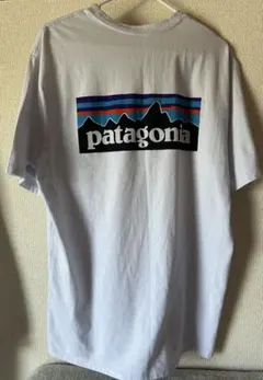 patagonia バックプリント Tシャツ