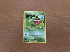 ポケモンカードゲーム ・ 旧裏 ・ ハネッコ