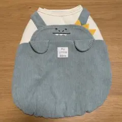 Item thumbnail for item e62c0118-50a3-47c3-be9d-5ffe86345e30