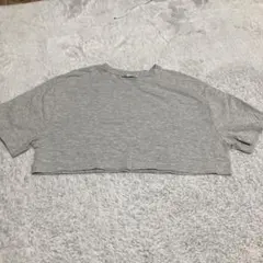ZARA グレー クロップドTシャツ Lサイズ