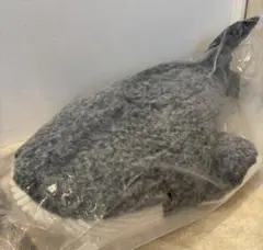 超BIGぬいぐるみシロナガスクジラ グレー