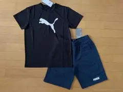 新品未使用 プーマ 150 快適 半袖Tシャツ 黒・スウェットハーフパンツ 上下のサムネイル