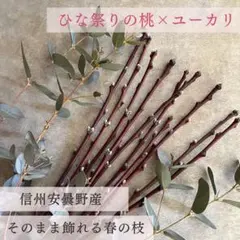 【桃10本×ユーカリヴィンテージミックス3本】ひな祭り・春の枝ものセット