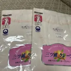 Item thumbnail for item 9b9a064e-abe9-4d47-bb76-f44d319db54c