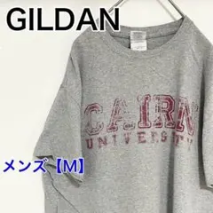 YAA97【US輸入】GILDAN(ギルダン)　Tシャツ【メンズM】半袖　グレー