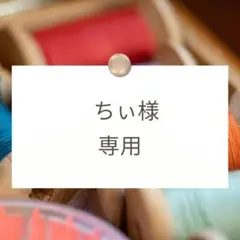 ちぃ様専用【手提げ】ハンドメイドオーダー