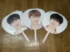 SEVENTEEN うちわ ホシ ディノ ウォヌ