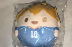 ハイキュー　ぬいくじ　日向翔陽　C賞　ふわころりん　Mサイズ