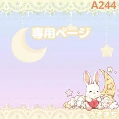 A244【igrs様】はむにぎりサイズ ぬい服 オーダー 苺帽子ポシェットセット