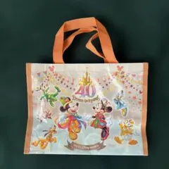 東京ディズニーリゾート　40周年　ミニバッグ