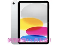 Apple iPad10世代 128GB 使用期間1ヶ月未満