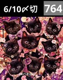 新柄♥️期間限定レアパネル生地 黒猫パネル生地 6柄セット CKパネル