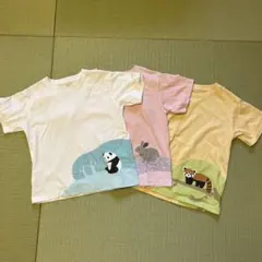 無印良品　動物イラストTシャツ2枚セット（120cm）