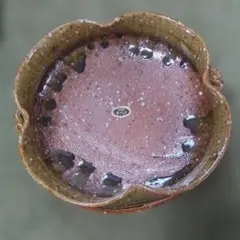 信楽焼　手づくり 共手付菓子鉢 耳付盛鉢 和食器 伝統工芸 19cm