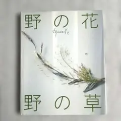 野の花 野の草 山上るいのサムネイル