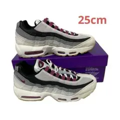 25cm Nike SB Air Max 95 エアマックス95