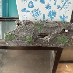 Item thumbnail for item 8220d018-6a94-42ed-8d90-84e6ff41215e