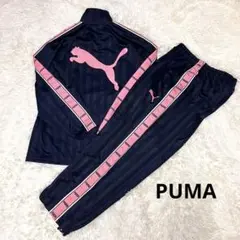 美品 PUMA プージャ ジャージ上下セット デカロゴ　 廃盤モデル