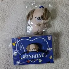 2026年最新】ドンヘ ぬいぐるみの人気アイテム - メルカリ