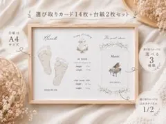 選び取りカード 台紙セット ポスター 選びとり 1歳誕生日 ファーストバースデー