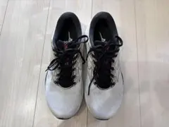 ミズノ ウェーブライダー26