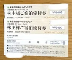 東急不動産株主優待券2枚 東急ハーヴェストクラブ/ホテルハーベストご宿泊優待券
