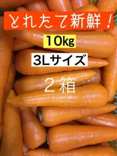コパ様専用　3Lサイズ　10kg ２箱農家直送 ８のサムネイル