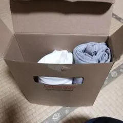 ステューシーティーシャツ