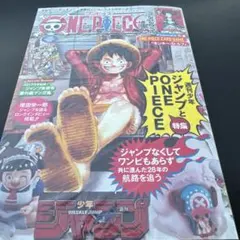 ワンピースマガジン　20号　ONE PIECE カードゲーム 特集号